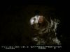 Filename=Deleted_Scenes_00051.jpg
Filesize=17KiB
Dimensions=640x480
Date added=Nov 11, 2007 Deleted_Scenes_00051.jpg
