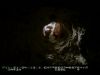 Filename=Deleted_Scenes_00052.jpg
Filesize=17KiB
Dimensions=640x480
Date added=Nov 11, 2007 Deleted_Scenes_00052.jpg